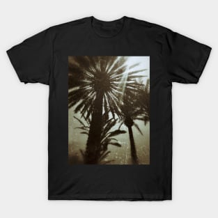 3 palm trees T-Shirt